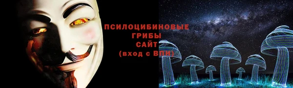 спайс Горнозаводск