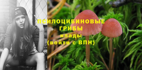 спайс Горнозаводск